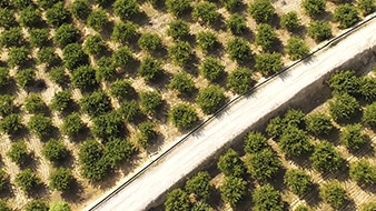 Agricultura y medioambiente soluciones - Zenit Drones