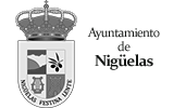 Logo Ayto. Nigüelas - Zenit Drones